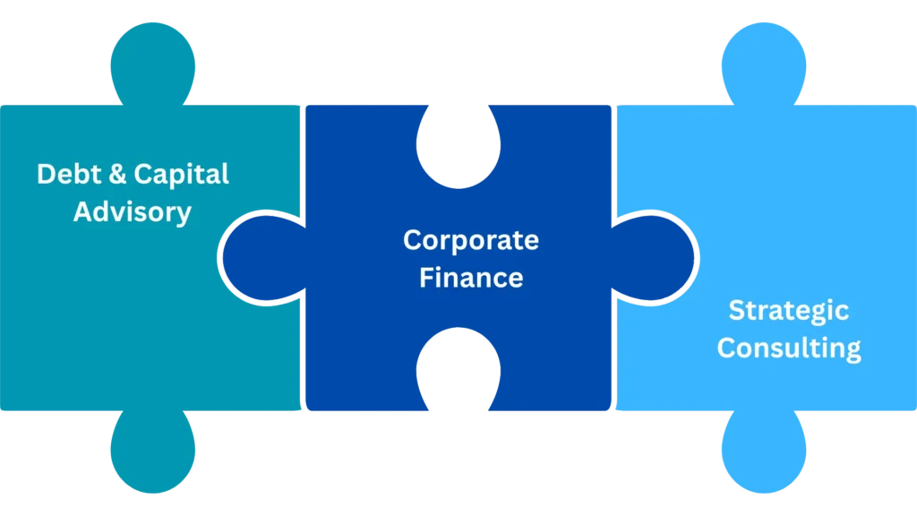 Debt and Capital Advisory Services, Best Financial Advisory Firm