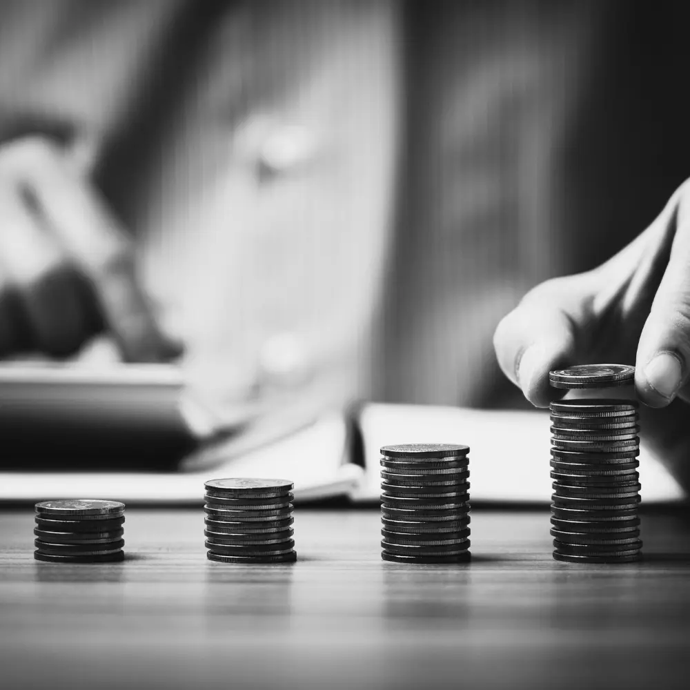 Best Financial Advisory Firm, corporate finance advisory